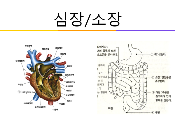 20c6c7f9744e22333ae129523a1f35270fe4bdbc.png