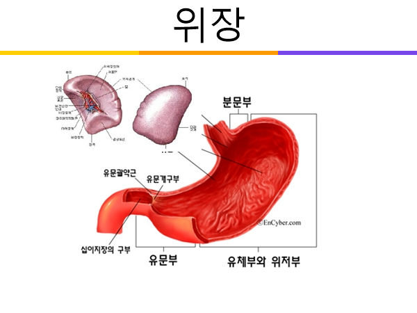abfed37f799f540a6874063c9c2738740328460f.png