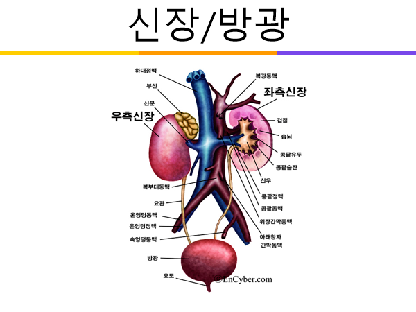 657f4ad699a2d8d88f83f5ef2540b7573750ec68.png