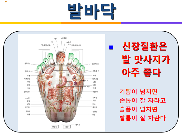 8bfd075a4a76ae8b5c28121b573ee429d4ad3b57.png