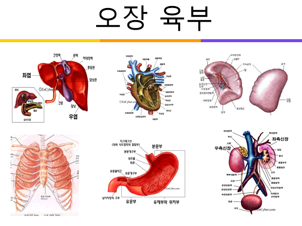 718a52910f8c60b62c7efb28f6d0d4fa35d649d5.png