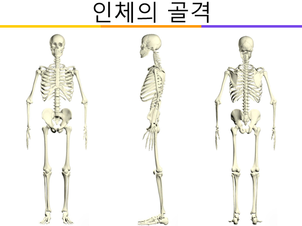 12b68997ce5ed6af8833d877e89a6a9d75d27f2a.png